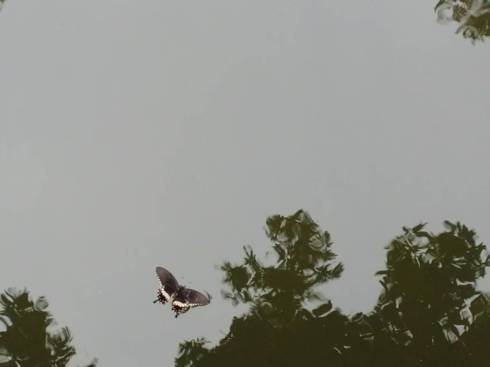 642337e8812919e6df1596edce1c118.jpg