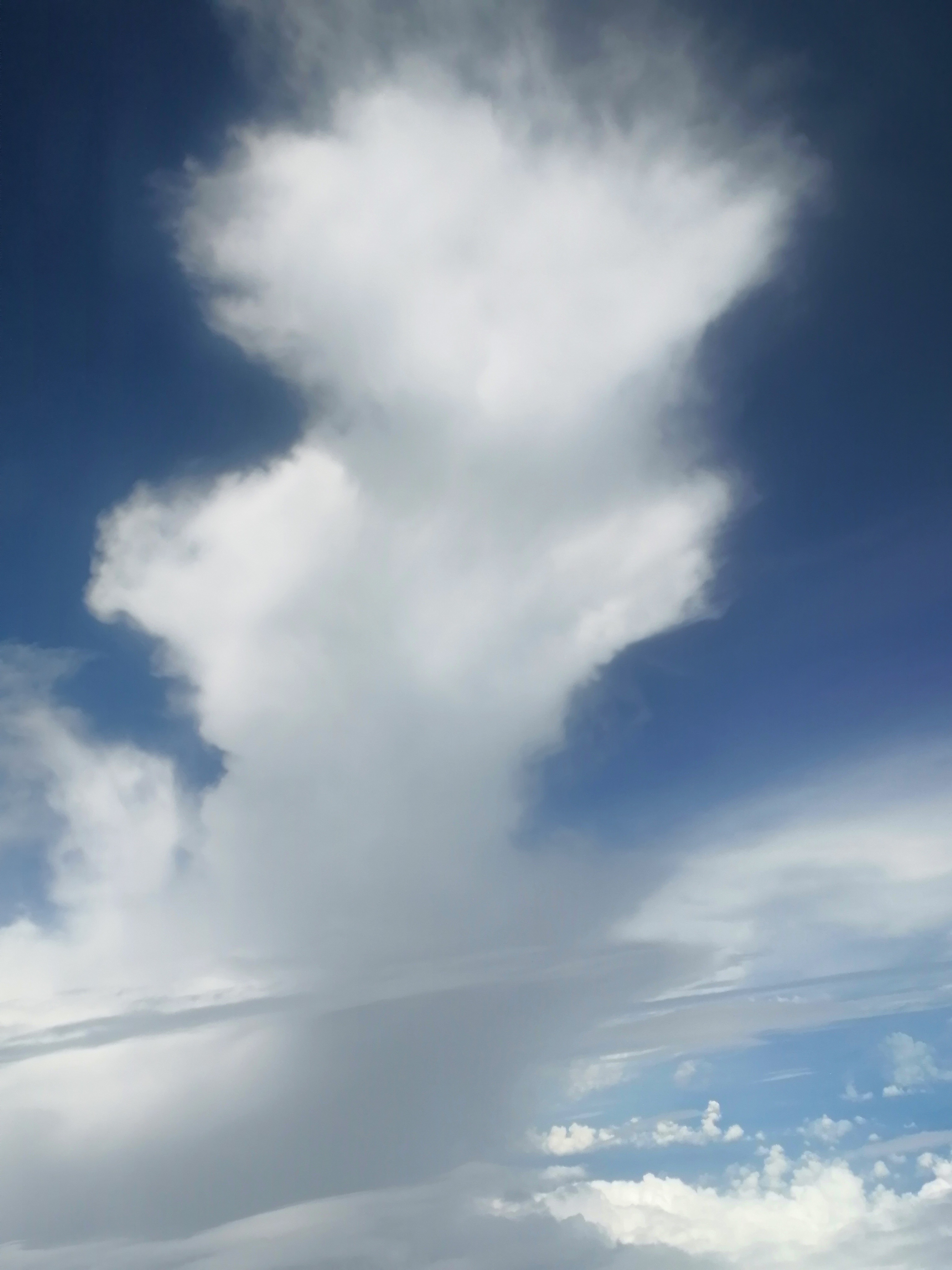 a08643eb75b0b327d0f6f1dbc8eb6fa.jpg